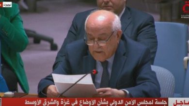 جهود مصر تثمر: مندوب فلسطين بالأمم المتحدة يشيد بوقف إطلاق النار في غزة