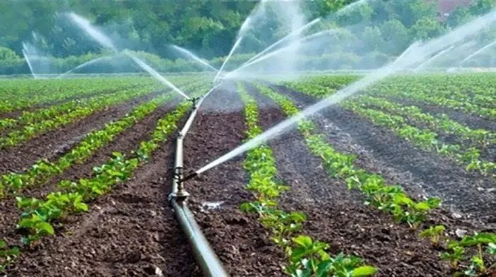 زيادة معدلات الري ضرورة لحماية المحاصيل من تأثيرات المناخ القاسية