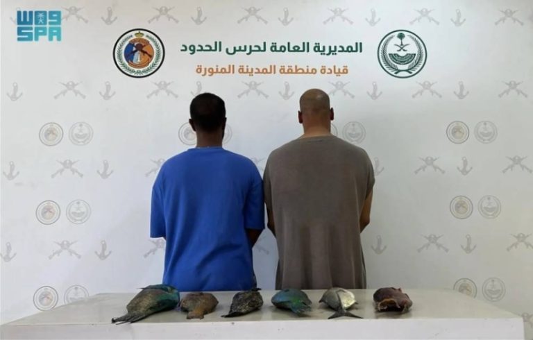 ضبط مخالفين لائحة الأمن والسلامة البحرية في ينبع