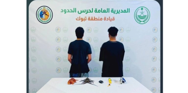 ضبط مواطنين مخالفين بحرس الحدود بتبوك