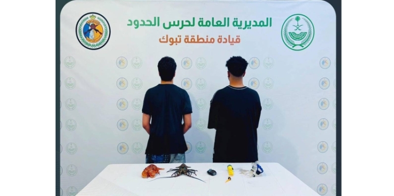 ضبط مواطنين مخالفين بحرس الحدود بتبوك