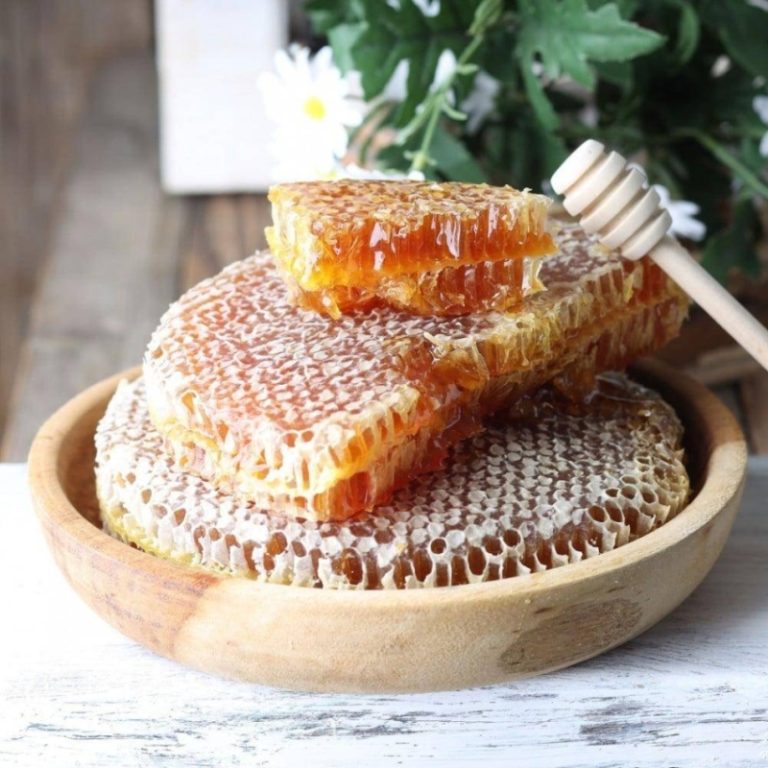 “عسل الباحة” ينطلق كرمز ثقافي واقتصادي وسياحي يبرز 15 نوعًا مختلفًا