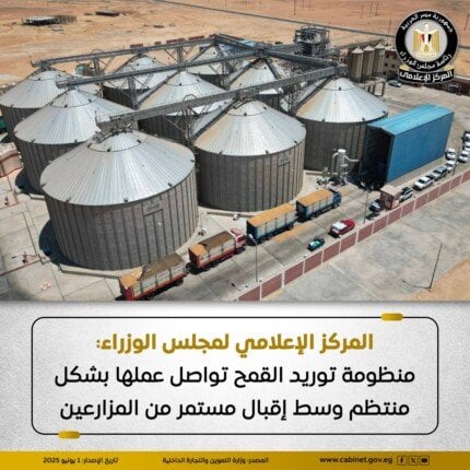 عمليات توريد القمح المحلي