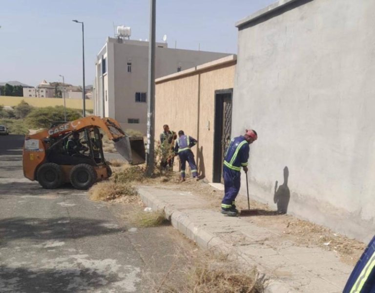 فرق النظافة والصحة العامة تعزز جهود أمانة الطائف في المواقع السياحية