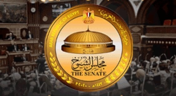قواعد جديدة لتصويت الخارج وضوابط دعاية انتخابات الشيوخ من «الوطنية للانتخابات»