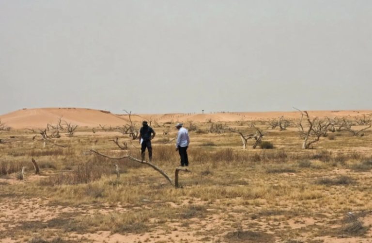 كشف هيئة تطوير محمية الملك عبدالعزيز عن نتائج مشروع “بنك البذور”