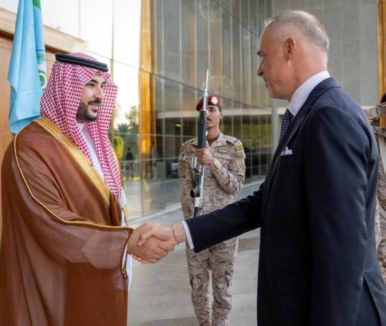 لقاء هام بين وزير الدفاع ونظيره المجري لمناقشة الأوضاع الراهنة