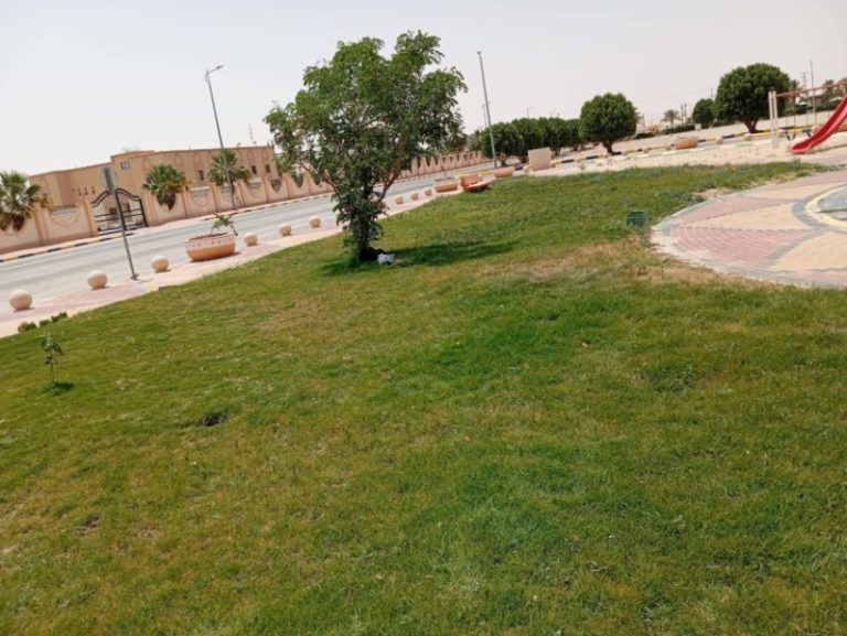 مبادرة جديدة من بلدية القليب لتعزيز المساحات الخضراء وتجميل المدينة
