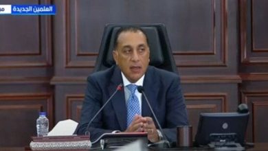 مصر تقدم 80% من المساعدات الإنسانية لقطاع غزة وفقًا لتصريحات رئيس الوزراء