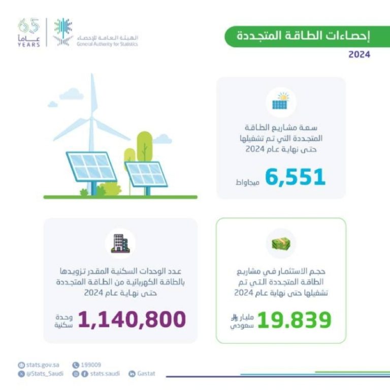 مليون وحدة سكنية تستفيد من الطاقة المتجددة