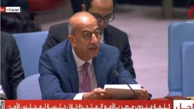 مندوب مصر يؤكد: انتهاك إسرائيل لسيادة الدول العربية يهدد الأمن الإقليمي والدولي
