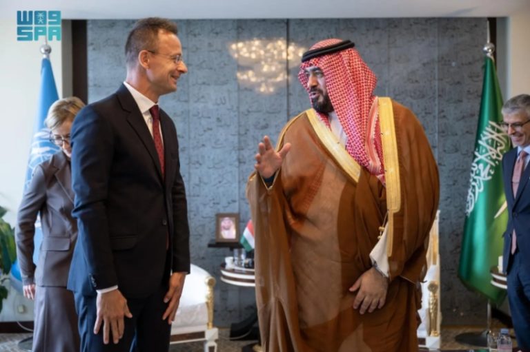 وزير الاقتصاد والتخطيط يبحث سبل التعاون مع نظيره المجري لدعم العلاقات الاقتصادية