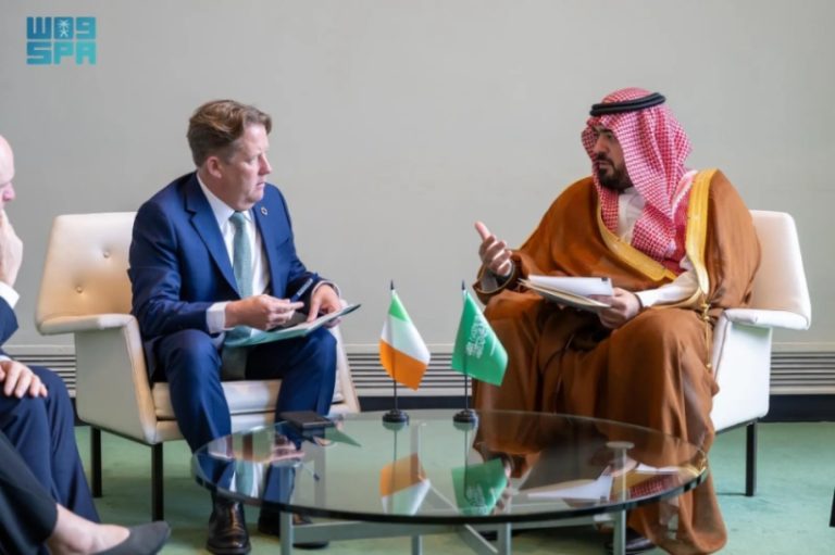 وزير الاقتصاد يلتقي نظيره من المناخ والنقل في إيرلندا لتعزيز التعاون المشترك