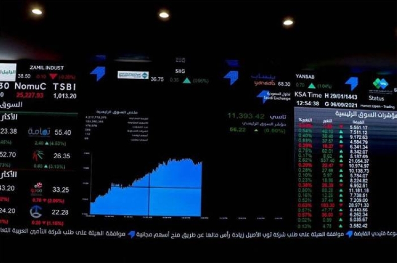 13 مليون استثمار فردي يعكس اهتمام الأفراد بسوق الأسهم السعودي