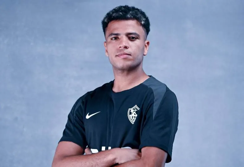 أحمد ربيع