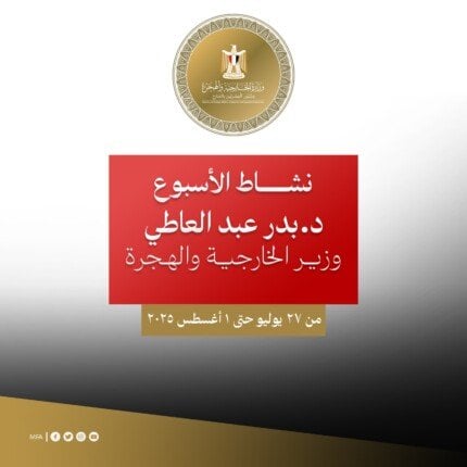 أنشطة وزير الخارجية تثير الاهتمام في أسبوع حافل «إنفوجراف»