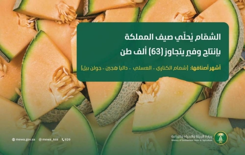 إنتاج وفير من الشمام يعزز صيف المملكة بتجاوز 63 ألف طن سنويًا