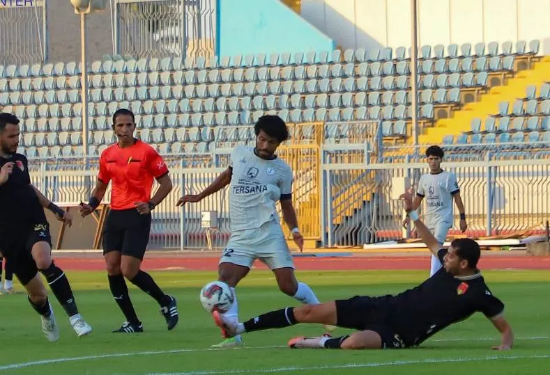 دوري المحترفين