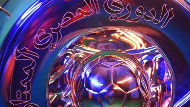الدوري المصري الممتاز