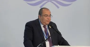 القطاع الخاص يساهم في تعبئة الموارد المالية للعمل المناخي وفقًا لمحيي الدين