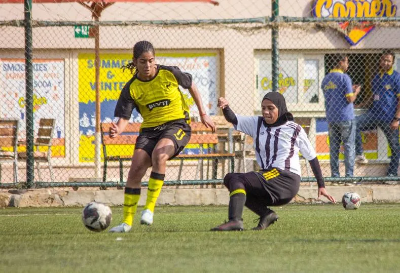 المقاولون العرب ووادي دجلة