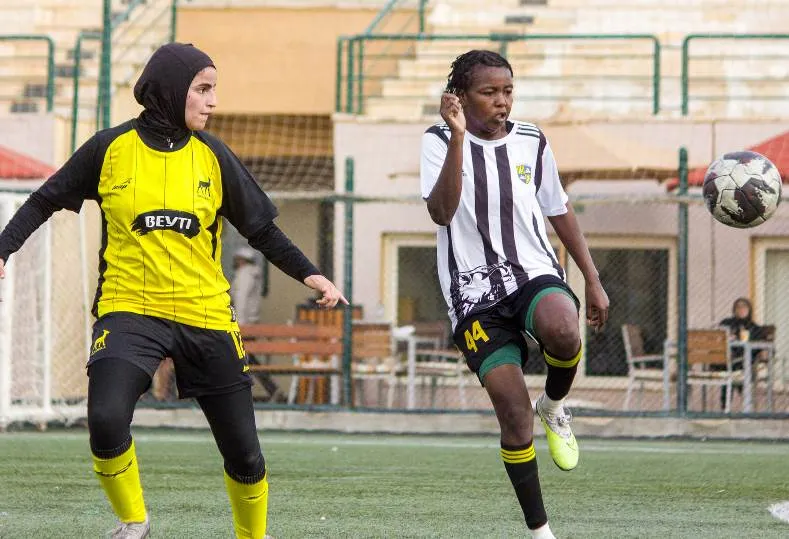 المقاولون العرب ووادي دجلة