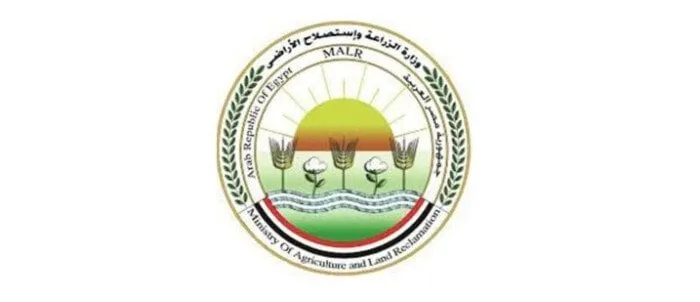 برامج جديدة لدعم تربية الجاموس المصري وتحسين الإنتاجية