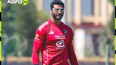 محمد الشناوي
