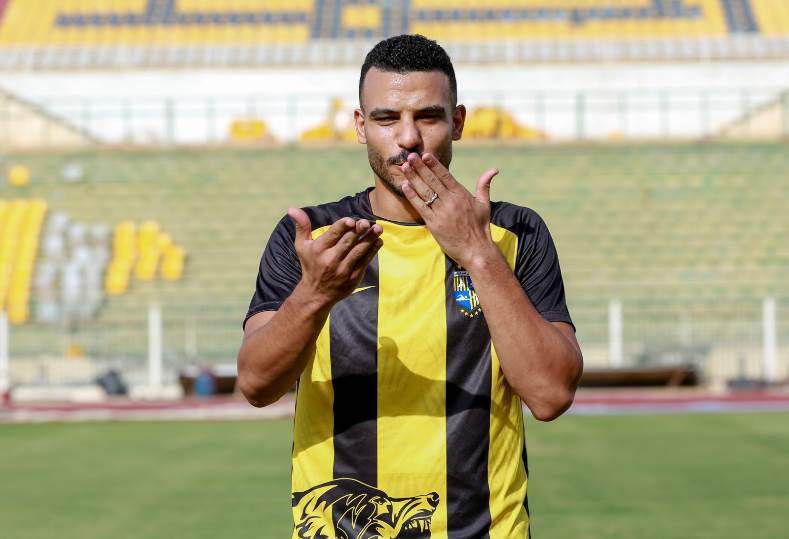 شكري نجيب