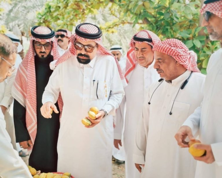 جولة ميدانية تساهم في تعزيز مستقبل اللوز القطيفي نحو الصناعة والتطوير