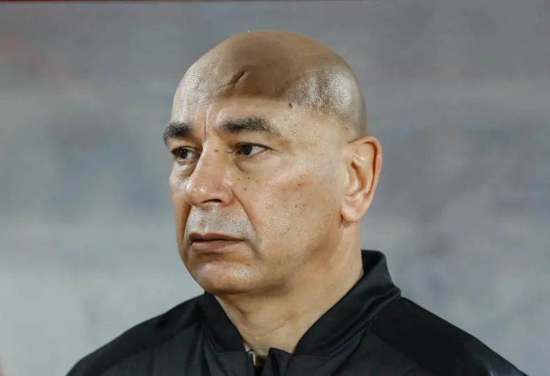 حسام حسن