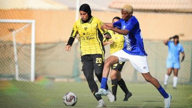 وادي دجلة والمقاولون العرب