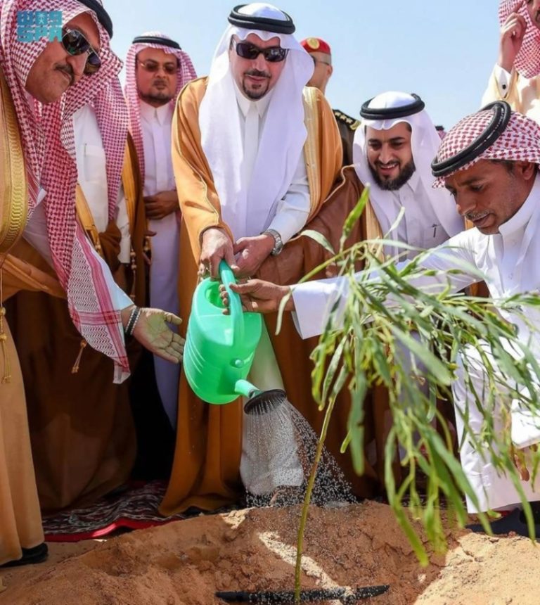 زراعة 7.5 ملايين شجرة في القصيم