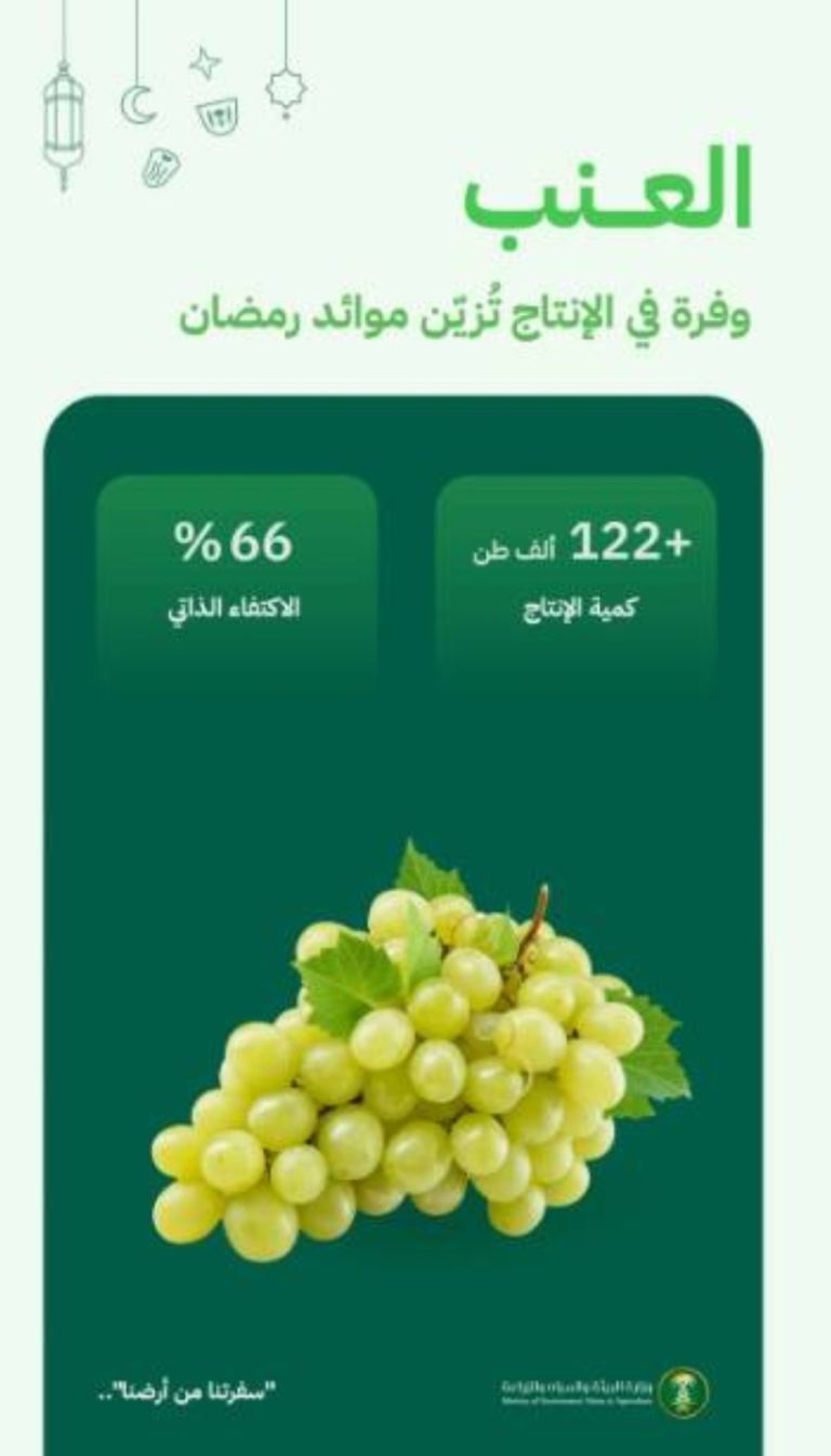 زيادة إنتاج العنب إلى 122 ألف طن