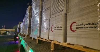 قافلة "زاد العزة" 26 تنطلق نحو غزة محملة بـ 3200 طن من المساعدات الإنسانية