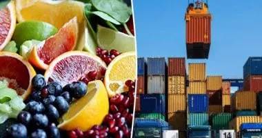 نمو ملحوظ في الصادرات المصرية: 26 مليار دولار خلال 6 أشهر