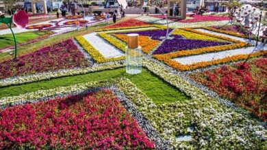 الطائف عروس المصايف