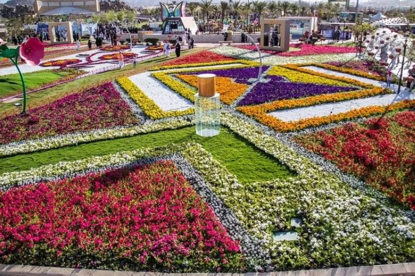الطائف عروس المصايف
