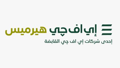 إي اف چي هيرميس، بنك الاستثمار