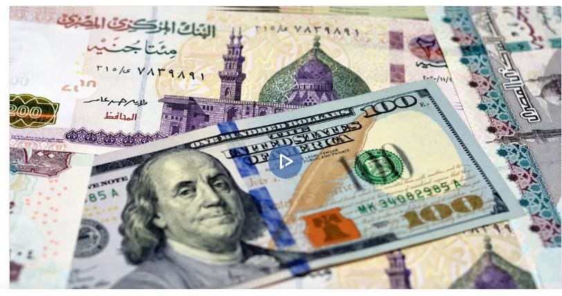 تراجع طفيف لسعر الدولار أمام الجنيه المصري وسط استقرار سوق الصرف