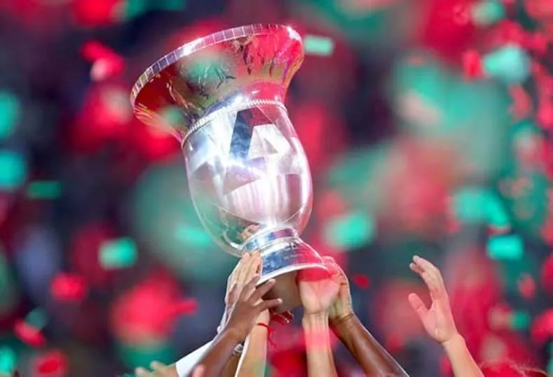بطل افريقيا