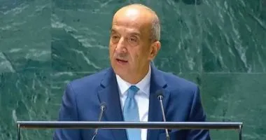 مندوب مصر أمام الأمم المتحدة: يجب تجديد الشراكات لتعزيز السلام والأمن للبشرية