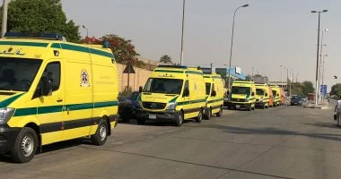 التحريات تكشف ملابسات العثور على جثة سائق فى الجيزة