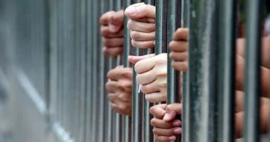 المؤبد لعامل قتل شخصا بسبب مشاجرة مع شقيقه في محرم بك بالإسكندرية
